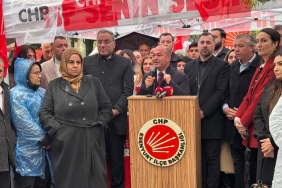 WhatsApp Image 2026-04-11 at 11.17.43 AM