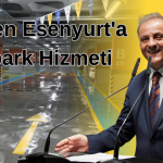 Bir alt başlık ekleyin
