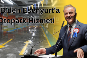 Bir alt başlık ekleyin