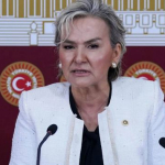 Nimet Özdemir chp