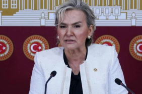 Nimet Özdemir chp